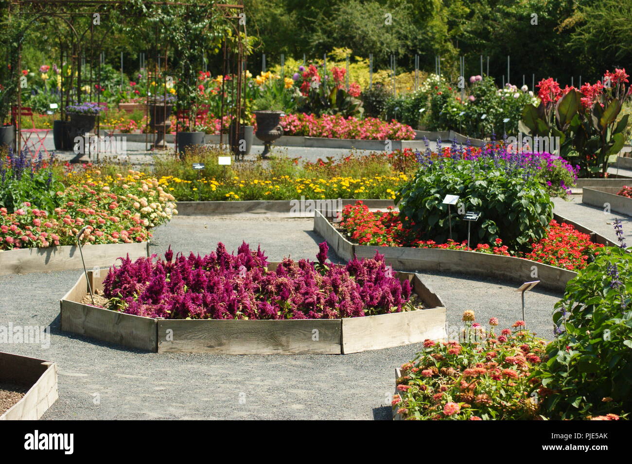 Massif de fleurs décoratives en Aménagement paysagé d'un jardin extraordinaire, dekorative Blumenbeet im Garten- und Landschaftsbau der Ausserordentlichen ga Stockfoto