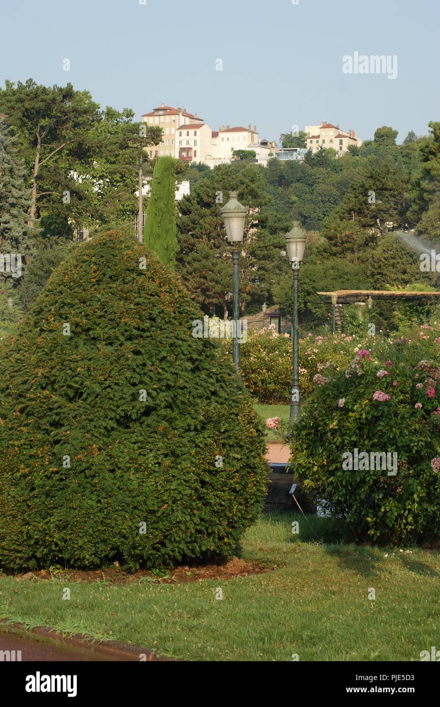 Massif de fleurs décoratives en Aménagement paysagé d'un jardin extraordinaire, dekorative Blumenbeet im Garten- und Landschaftsbau der Ausserordentlichen ga Stockfoto