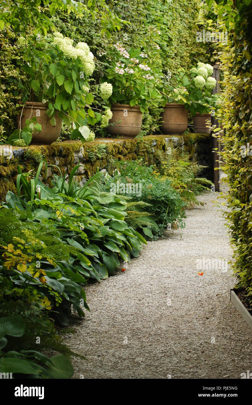 Massif de fleurs décoratives en Aménagement paysagé d'un jardin extraordinaire, dekorative Blumenbeet im Garten- und Landschaftsbau der Ausserordentlichen ga Stockfoto