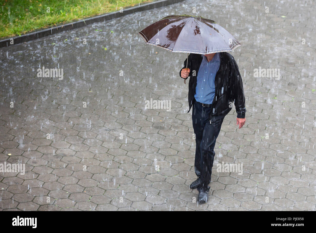 Ein Mann läuft in der regnerischen Wetter mit hir braun Regenschirm. Regnet wie Katzen und Hunde. Schlechtes Wetter. Klimawandel. Stockfoto