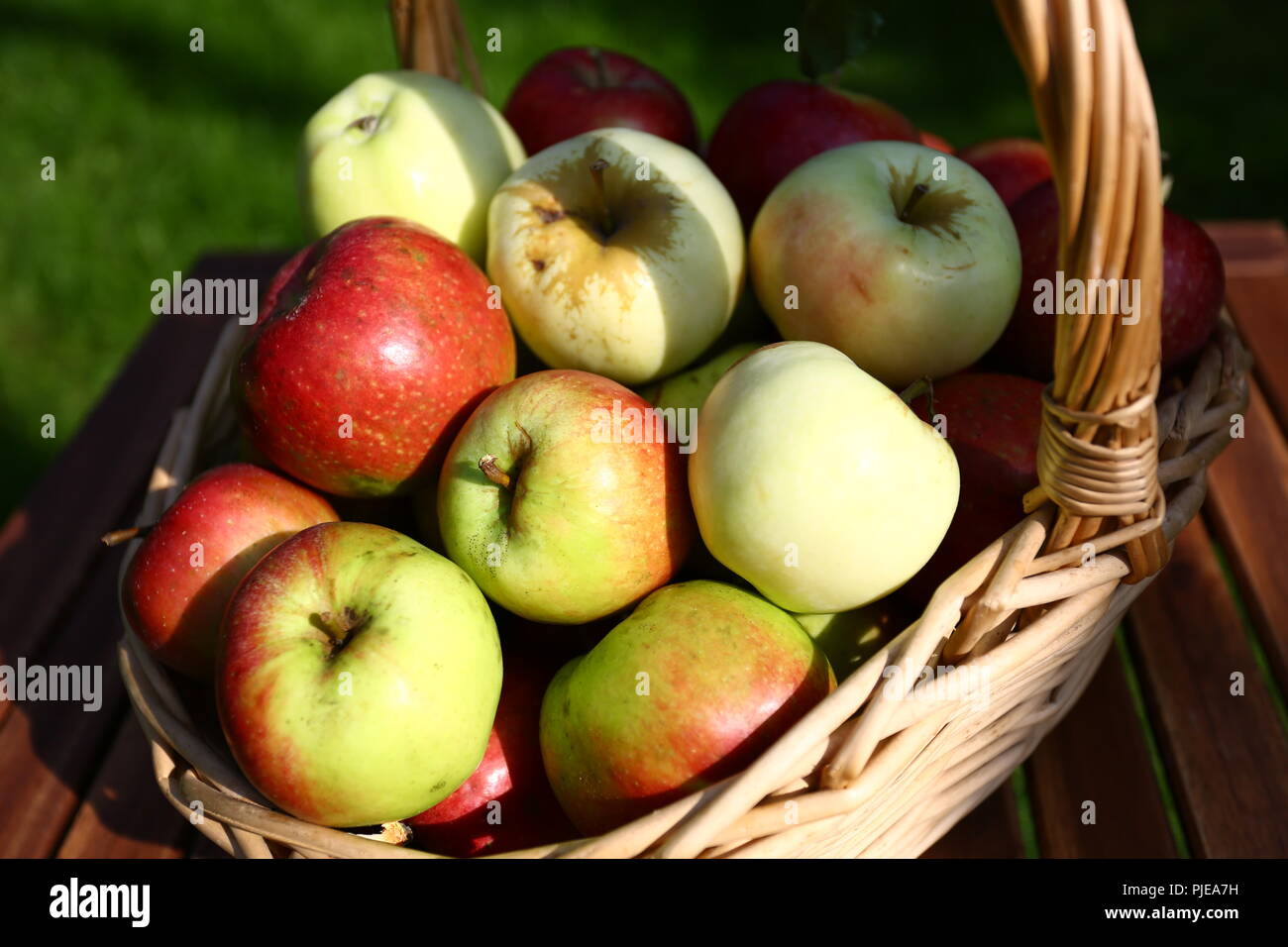 Essen: Apple harevst Stockfoto