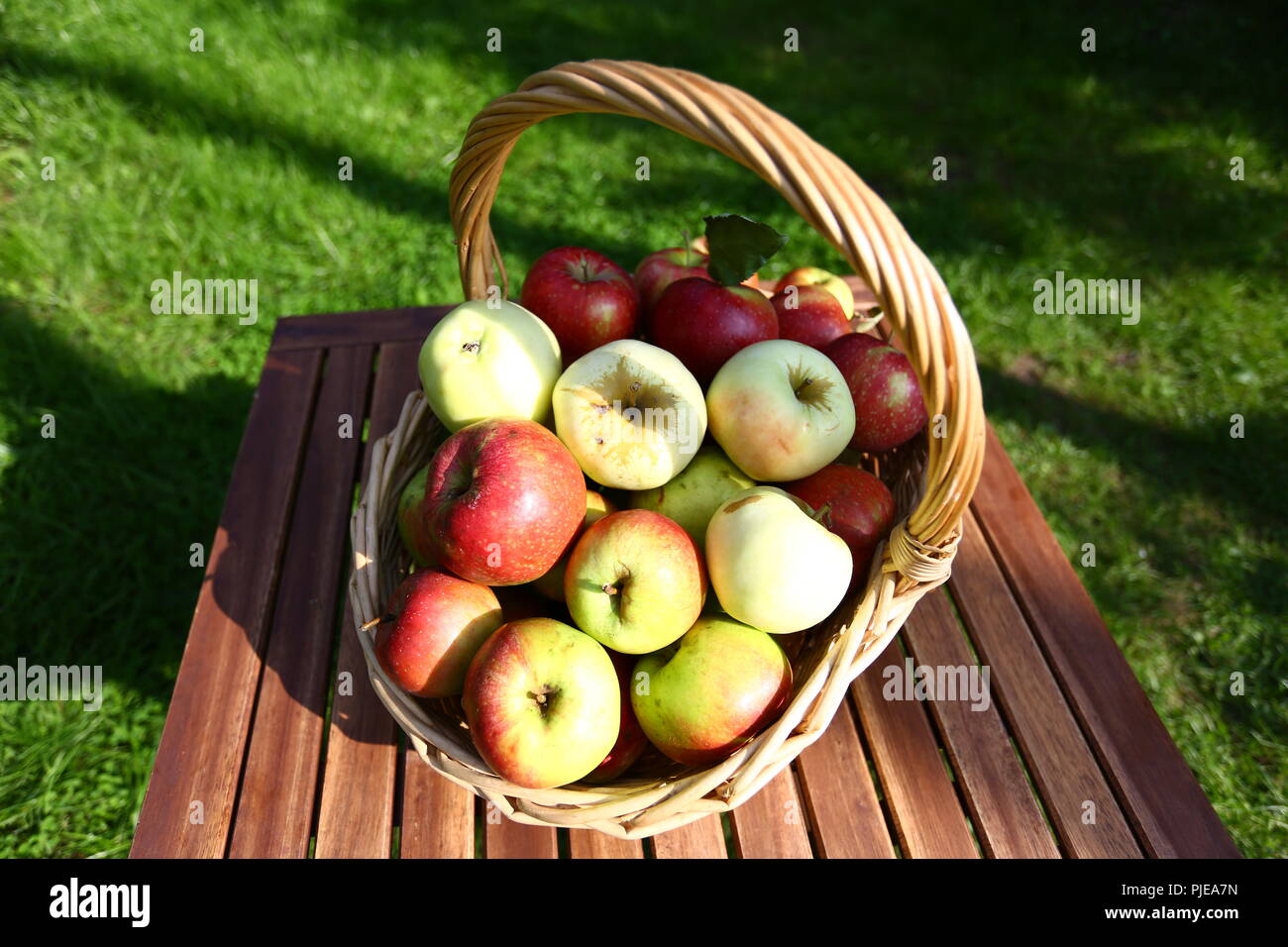Essen: Apple harevst Stockfoto