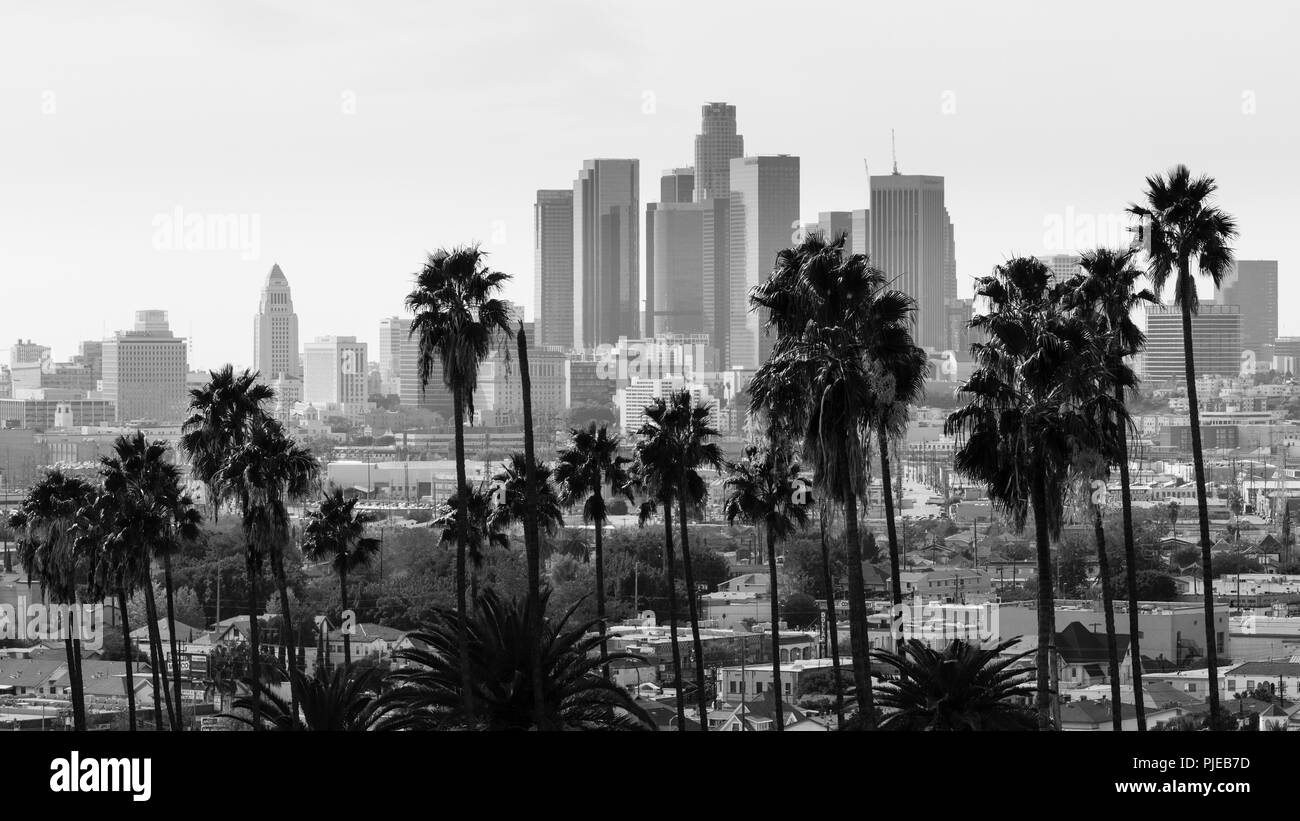 Los Angeles Skyline. Stockfoto
