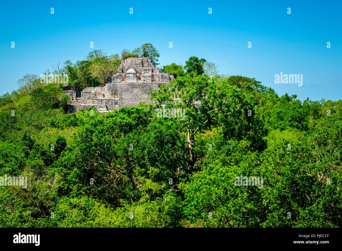 Struktur im Maya-Stadt von Calakmul, Calakmul Biosphären-Reservat, Campeche, Mexiko Stockfoto