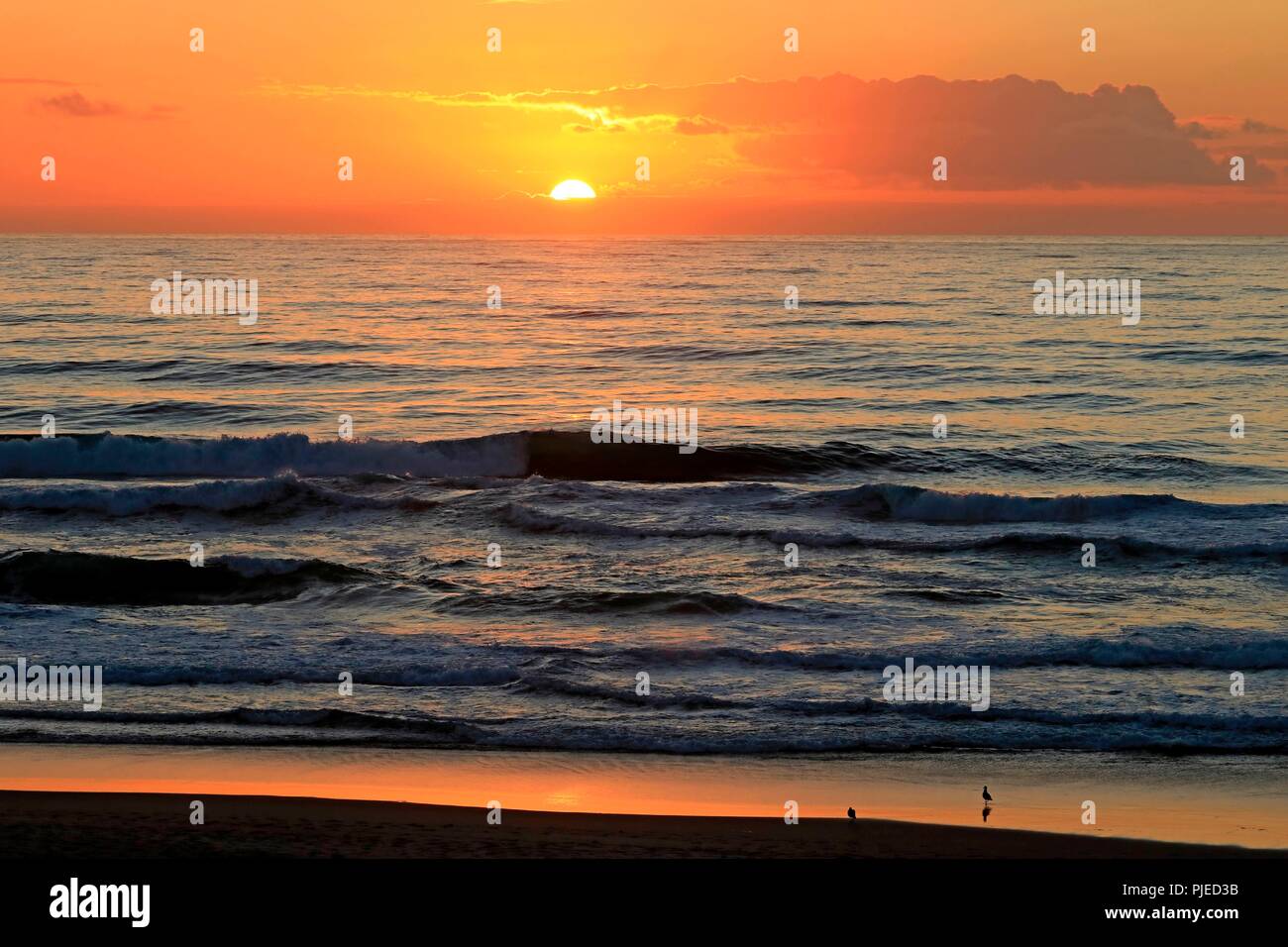 Pazifik Sonnenuntergang an der Küste von Oregon Stockfoto