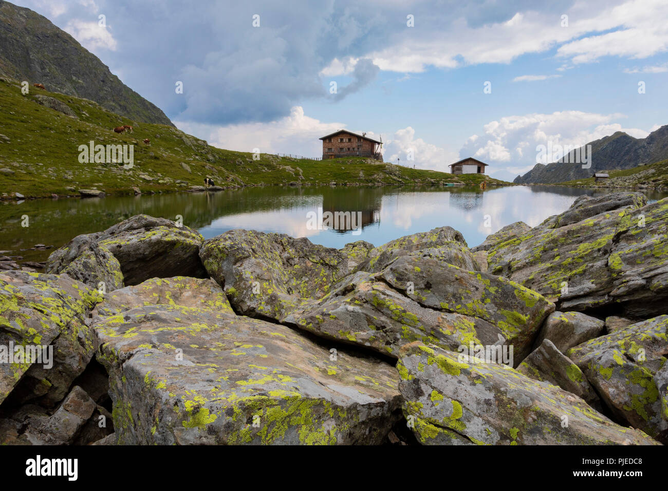 Hütte an einem See im Sommer, Dolomiten, Italien Stockfoto