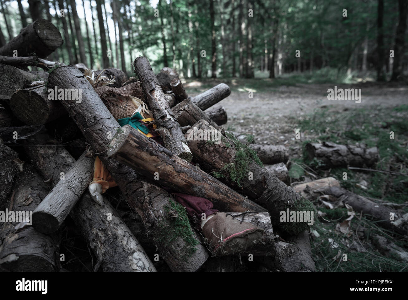 Trauriges Bild mit einer Vogelscheuche in den Wald verlassen, unter einem Haufen von Baumstämmen begraben, in einem schattigen, finsteren Wald. Stockfoto