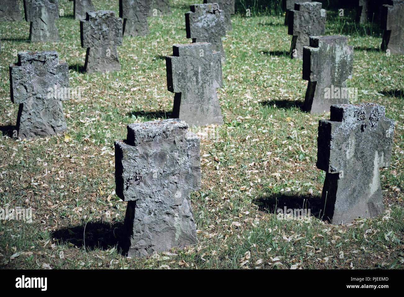 Bereich der Grau, alt und klein Grabsteine auf dem Friedhof teilweise in Moos bedeckt ohne Namen. Stockfoto