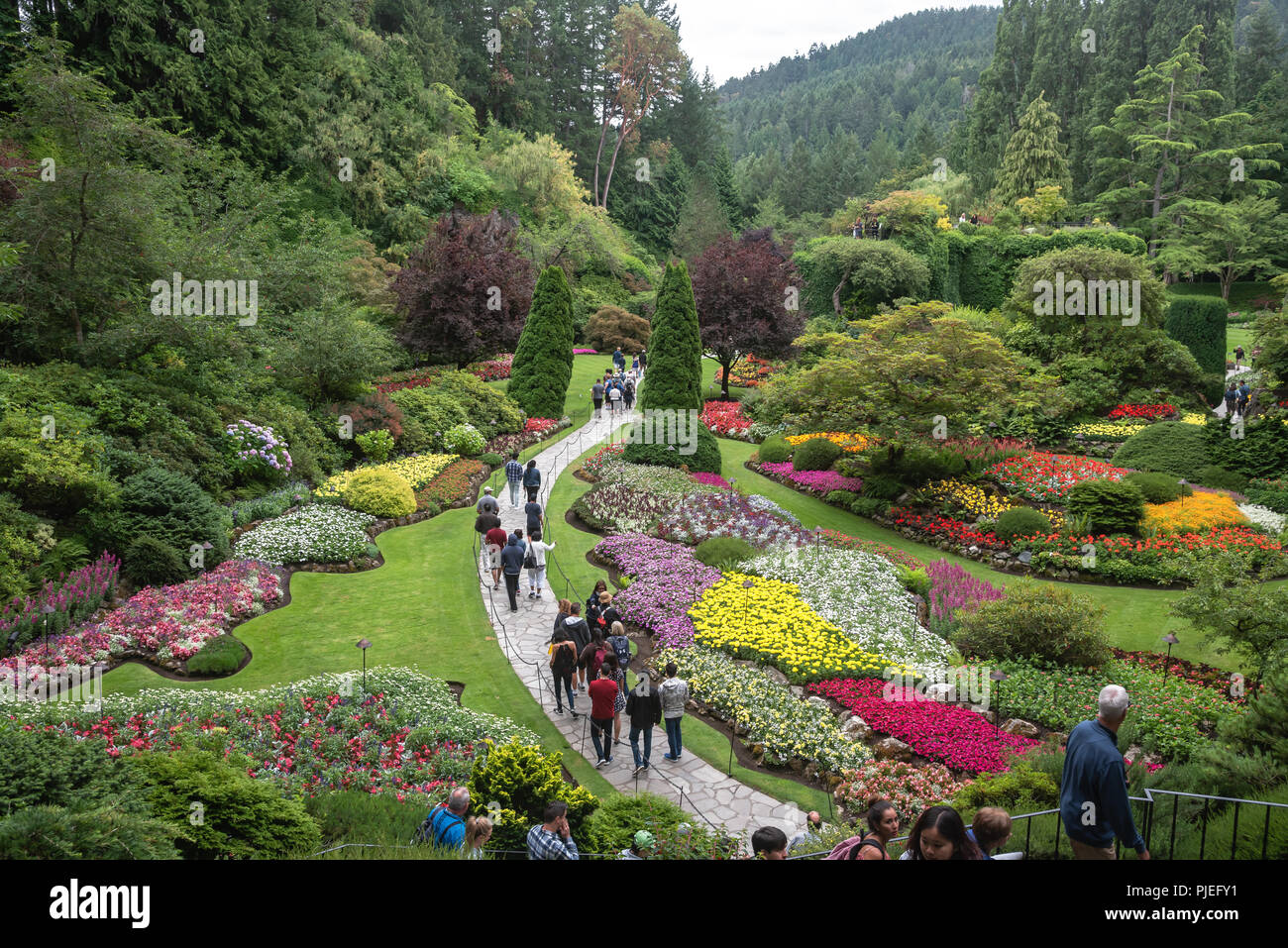 Touristen Ausflug zu den Butchart Gardens, Brentwood Bay, British Columbia, Kanada Stockfoto