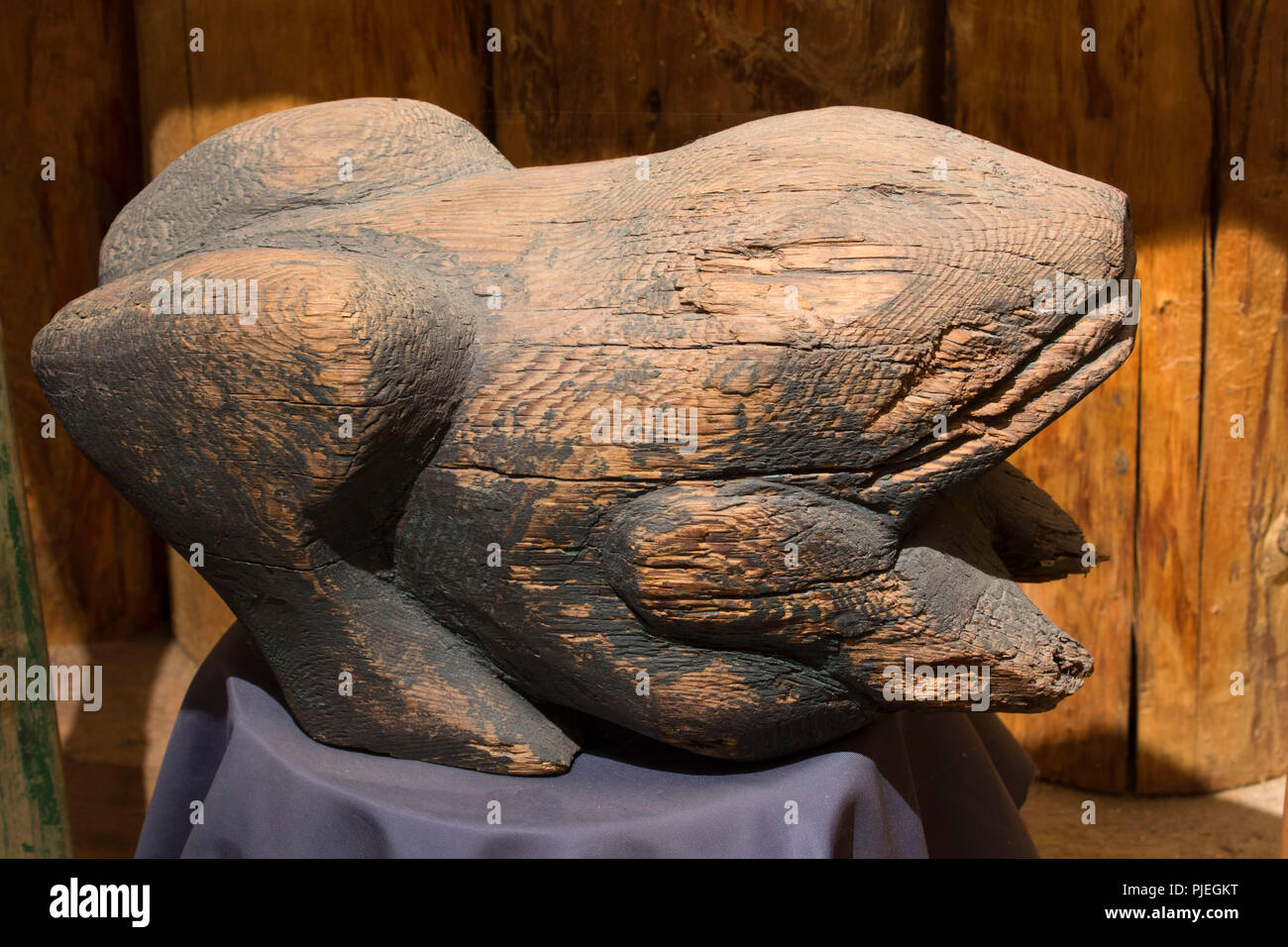 Geschnitzte zeder Frosch, Sooke Regional Museum, Sooke, British Columbia, Kanada Stockfoto