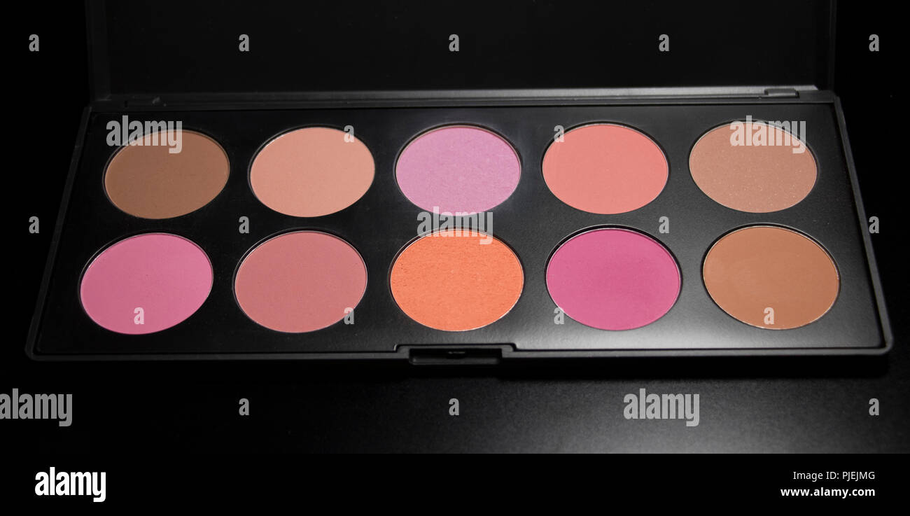 Make-up Artist blush Palette. Make-up-Tasche mit verschiedenen Farben der Schönheit blush Pulver öffnen. Stockfoto
