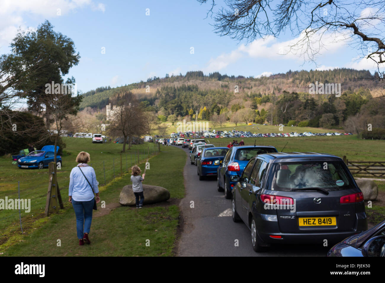 Langen Osterwochenende im Castlewellan Forest Park, County Down, Nordirland. Stockfoto