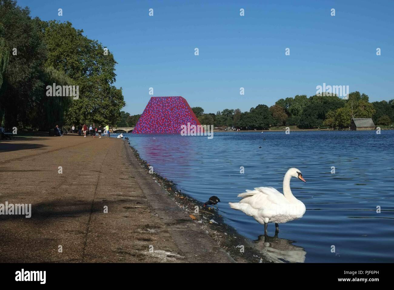 London, 7. September 2018: UK Wetter: Blauer Himmel im Hyde Park. Credit: Claire Doherty/Alamy leben Nachrichten Stockfoto