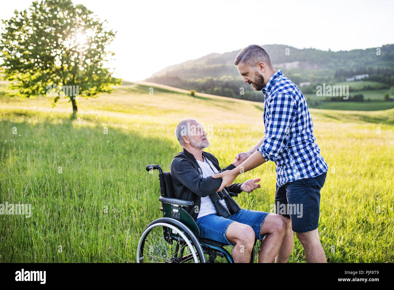 Ein erwachsener hipster Sohn mit dem Vater im Rollstuhl auf einen Spaziergang in der Natur bei Sonnenuntergang. Stockfoto