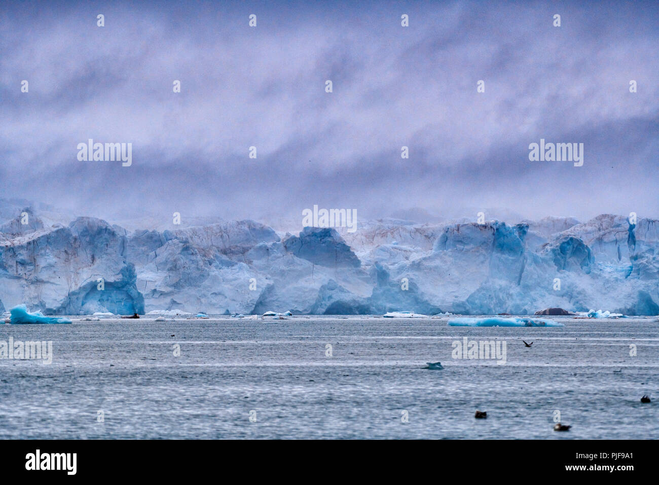 National Geographic, Straße tripblue Eis der Gletscher Kronebreen oder Krone, Kongsfjord, Ny-Ålesund, Spitzbergen oder Spitzbergen, Europa Stockfoto