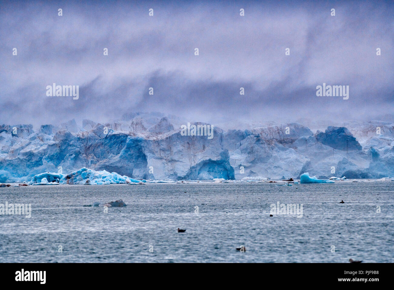 National Geographic, Straße tripblue Eis der Gletscher Kronebreen oder Krone, Kongsfjord, Ny-Ålesund, Spitzbergen oder Spitzbergen, Europa Stockfoto