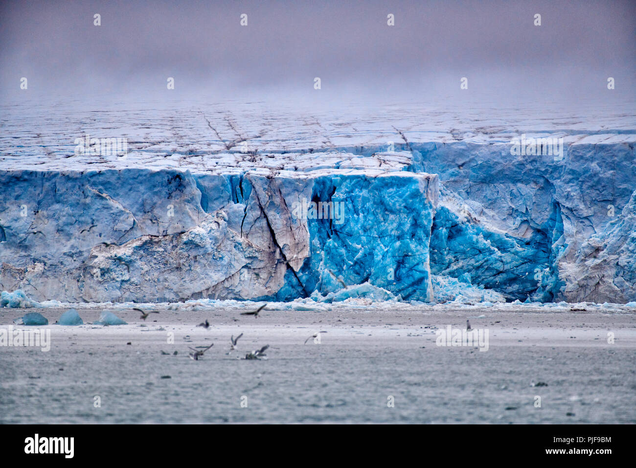 National Geographic, Straße tripblue Eis der Gletscher Kronebreen oder Krone, Kongsfjord, Ny-Ålesund, Spitzbergen oder Spitzbergen, Europa Stockfoto