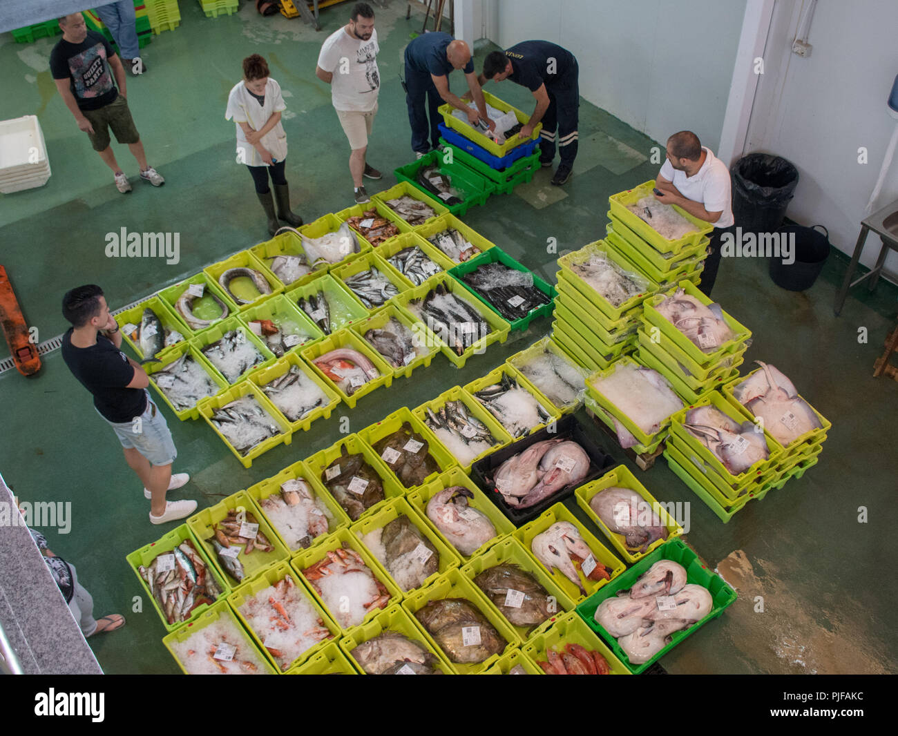 Kunden Prüfen der Verriegelung am Hafen Fischmarkt in der kleinen Stadt am Meer, Llanes Spanien. Stockfoto