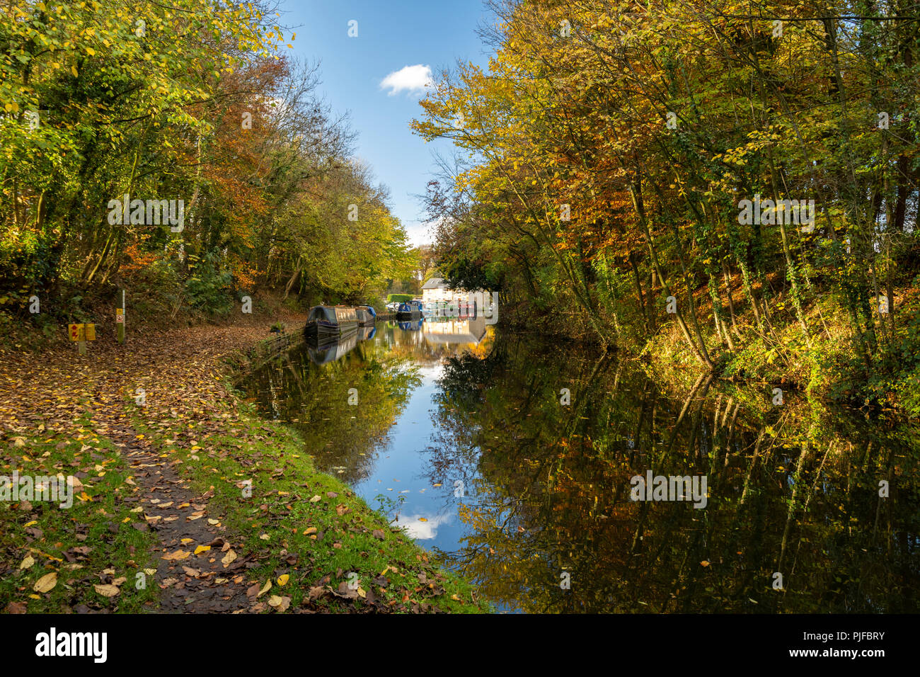 Lancaster Canal an Salwick in der Nähe von Preston, Lancashire Stockfoto