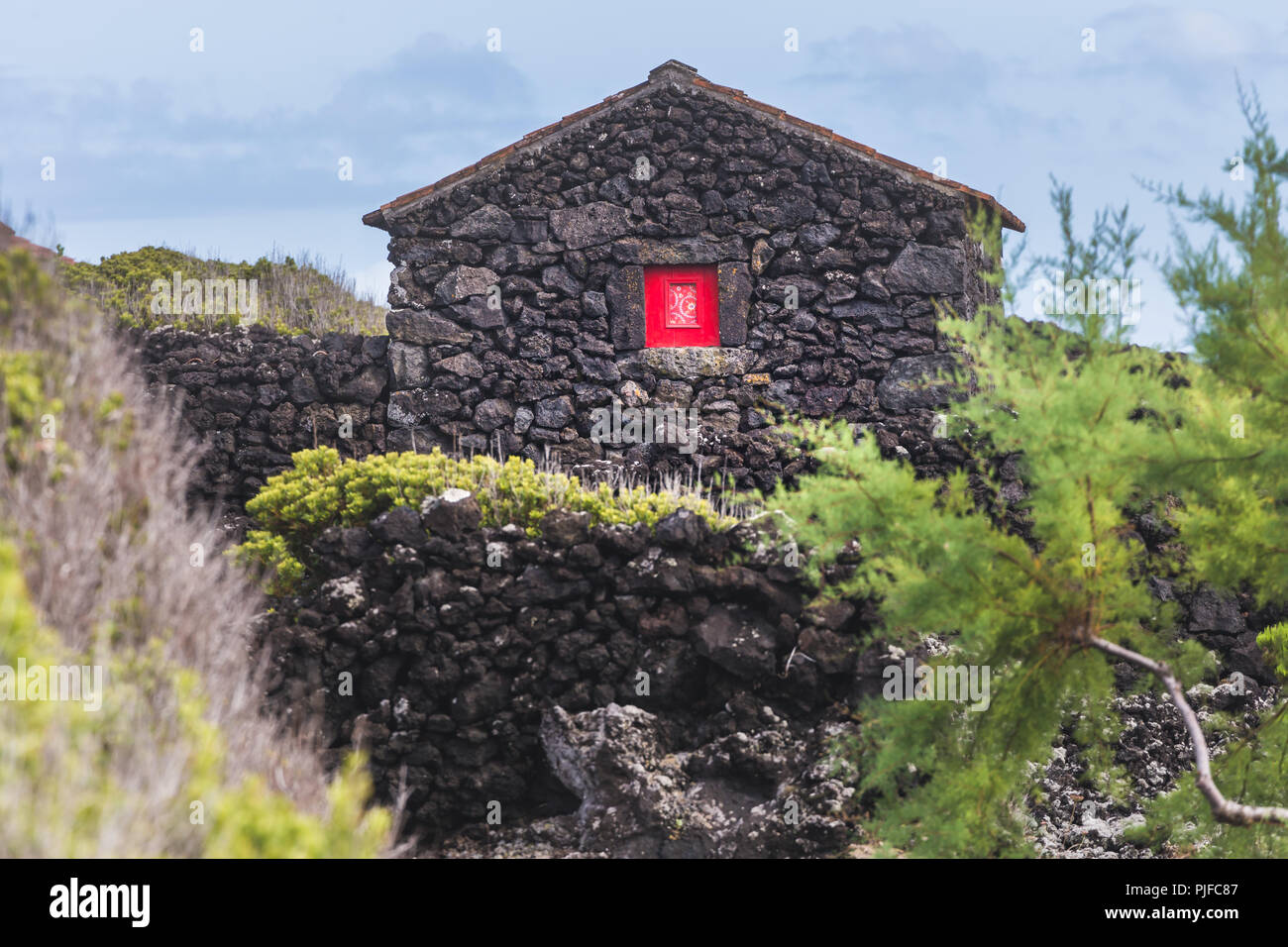 Typisches Haus aus vulkanischen Gesteinen, Verdelho Wein Region, Insel Pico, Azoren, Portugal Stockfoto