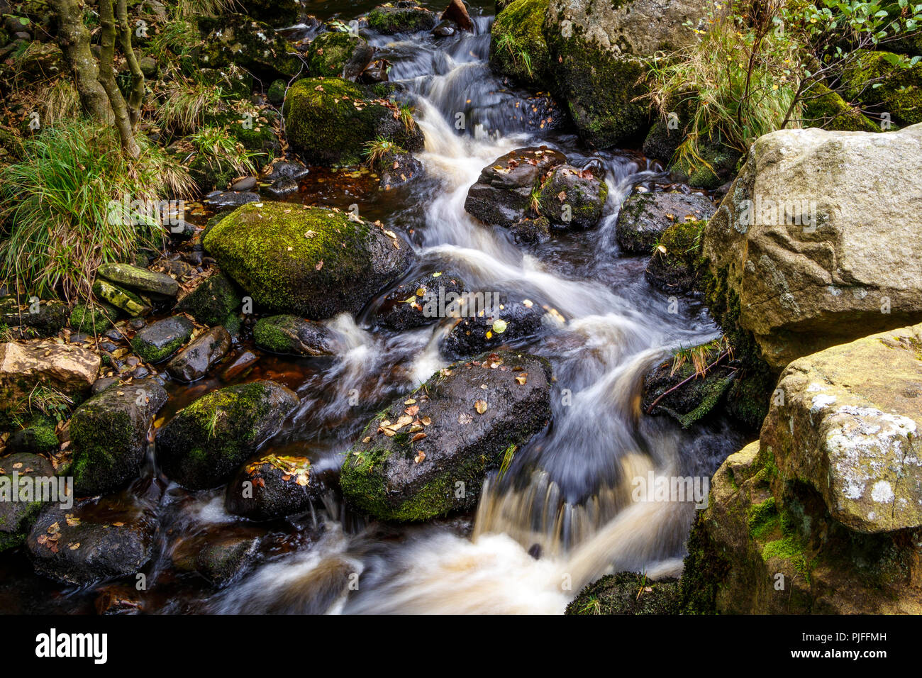 Ein Nebenfluss des Flusses Wharfe in North Yorkshire, UK. Ein Bach mit Wasser taumeln über Felsen. Stockfoto