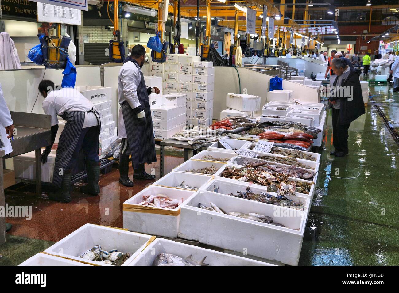 LONDON, Großbritannien - 8. JULI 2016: Händler verkaufen Meer Essen in Billingsgate Fish Market in London, UK. Der Markt befindet sich an der Insel Hunde entfernt und ist einer der größten Stockfoto
