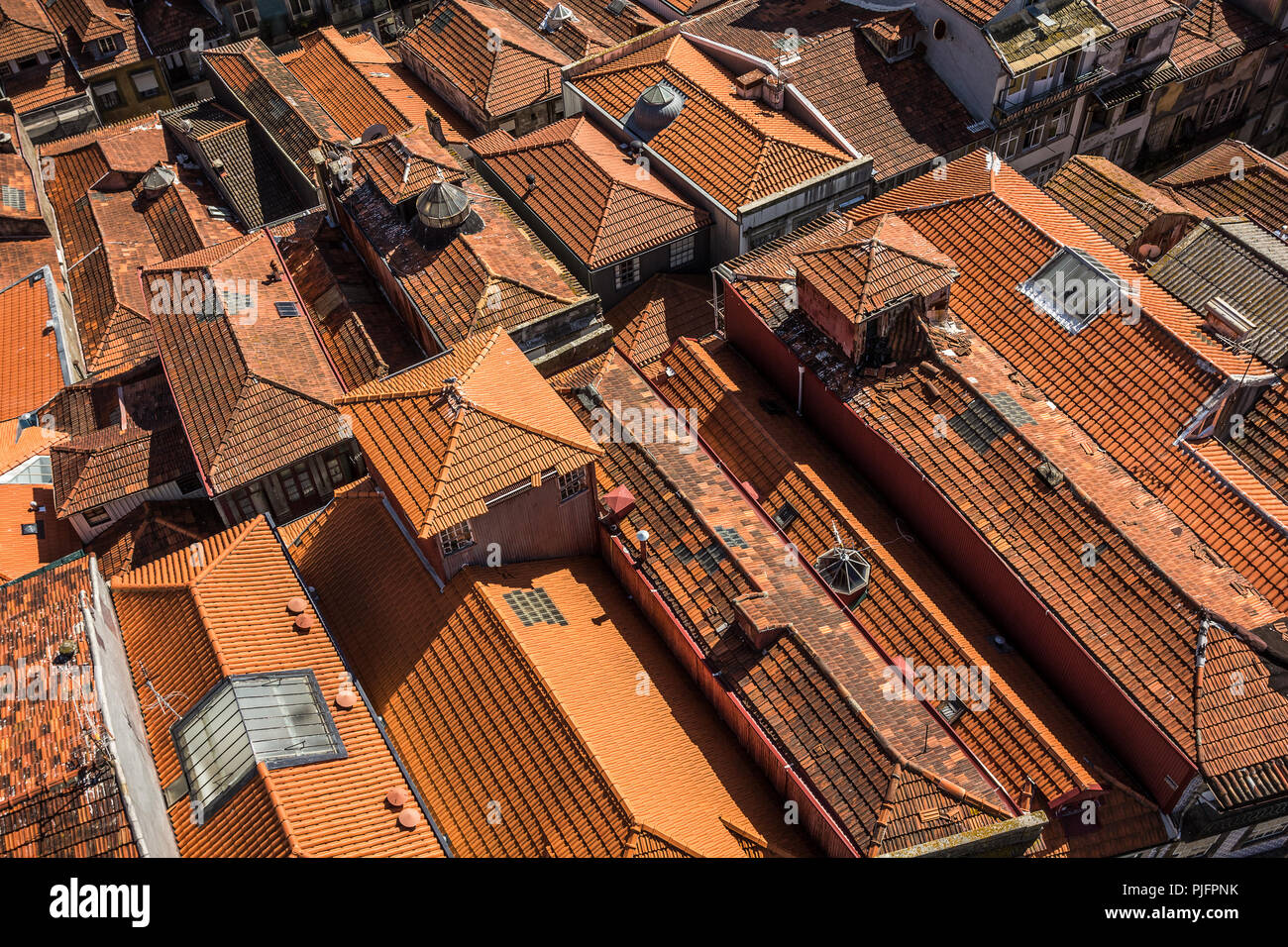 Luftaufnahme auf die Dächer der Altstadt von Porto, Portugal, vom Torre dos Clérigos gesehen. Stockfoto