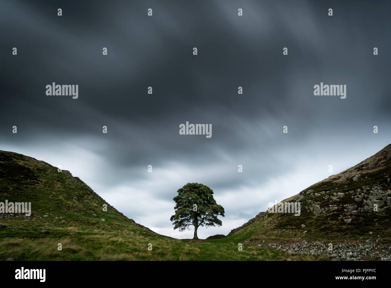 Lange Belichtung Schüsse von Sycamore Lücke in Hadrian's Wall Land, Northumberland, England Stockfoto