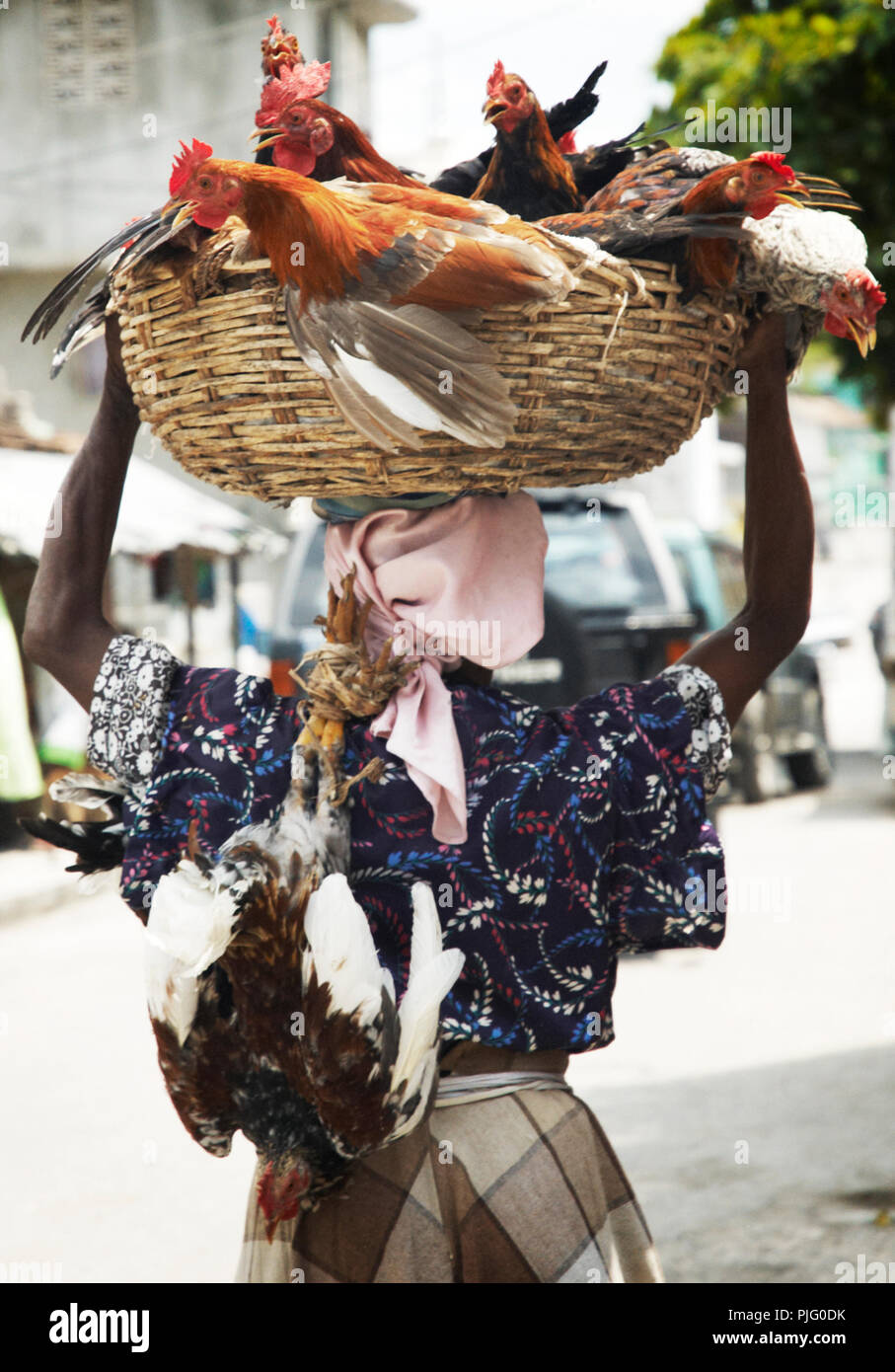 Eine Frau trägt einen Korb von lebendem Geflügel auf dem Kopf auf den Markt in Port-au-Prince. Stockfoto