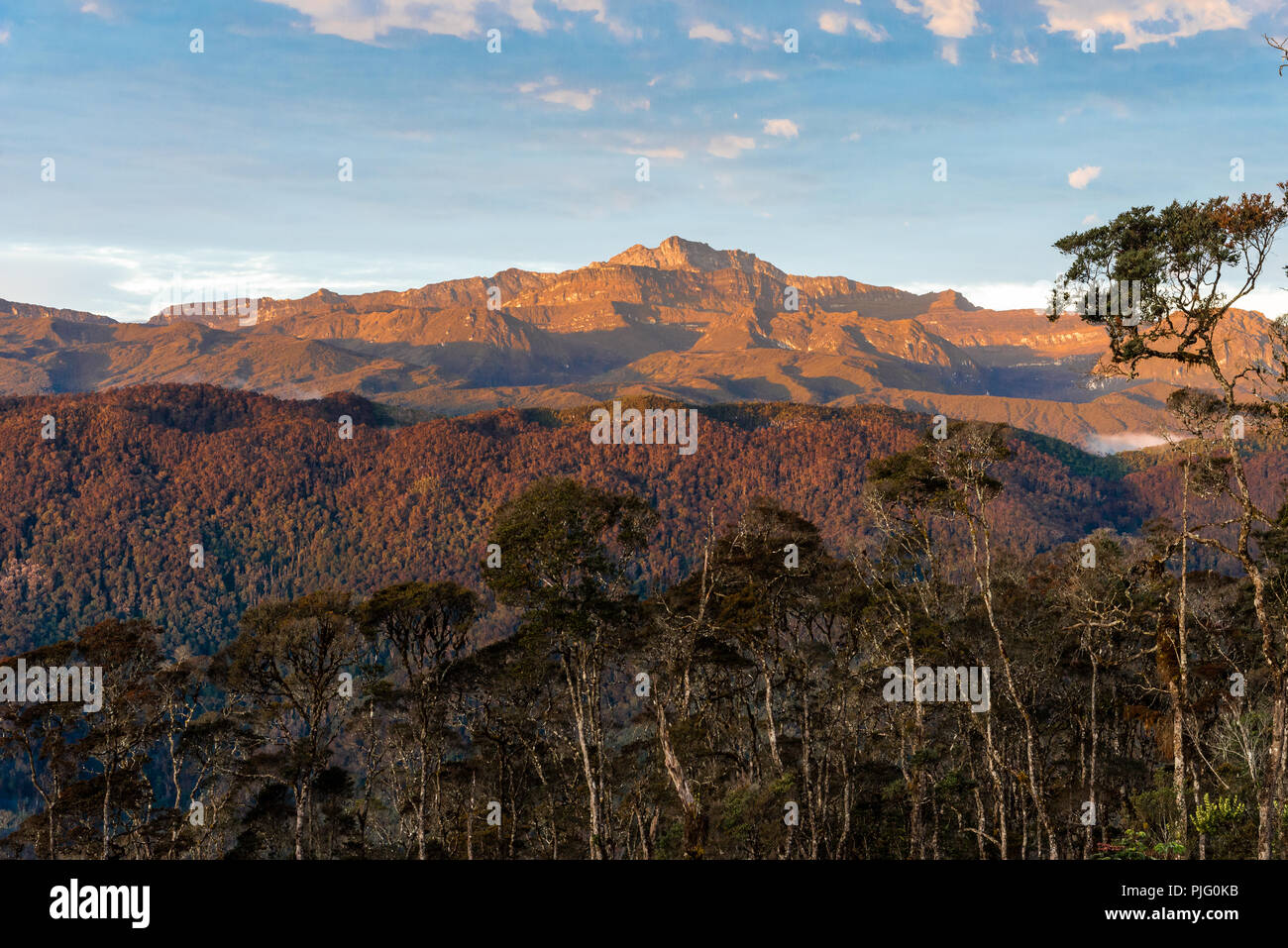 Morgen Sonnenschein auf Gunung Puncak Trikora. Bei 4750 m, es ist der zweite den höchsten Gipfel der Insel Neuguinea. Zentrale Hochland, Papua, Indonesien. Stockfoto