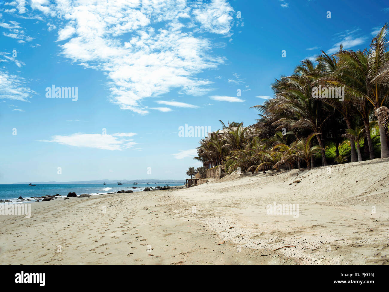 Palmen und dem breiten, feinsandigen Strand in der Nähe von Vichayito Mancora Strand Stadt, Region Piura, Peru. Aug 2018 Stockfoto