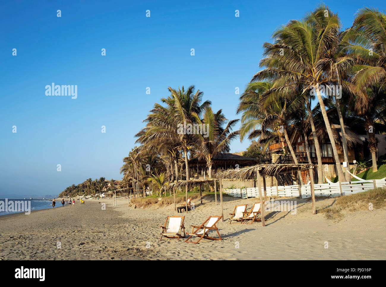 Liegestühle und Palmen entlang des breiten, feinsandigen Strand in der Nähe von Vichayito Mancora Strand Stadt, Region Piura, Peru. Aug 2018 Stockfoto