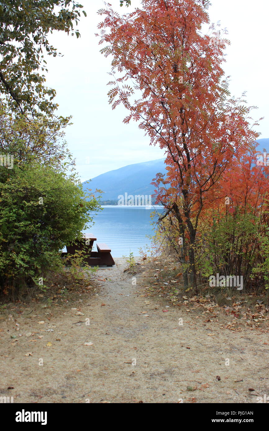 Trail zum Picknick Tisch im Herbst Stockfoto