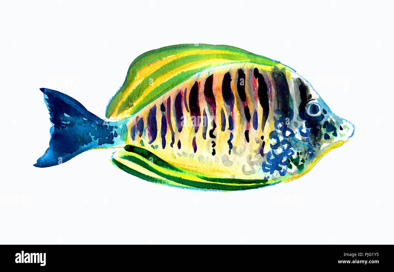 Aquarell Malerei eines tropischen Fischen Stockfoto