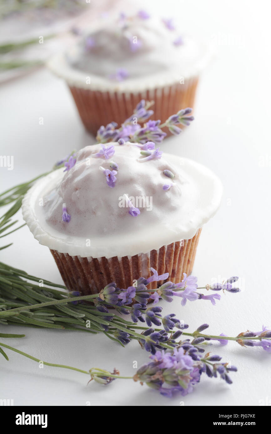 Cupcakes mit Zuckerguss und ein Bündel von Lavendel Stockfoto