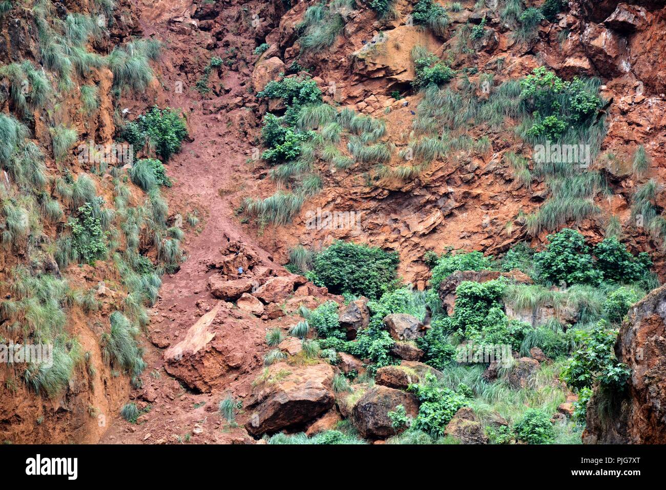 Sand, Felsen und Pflanzen Stockfoto