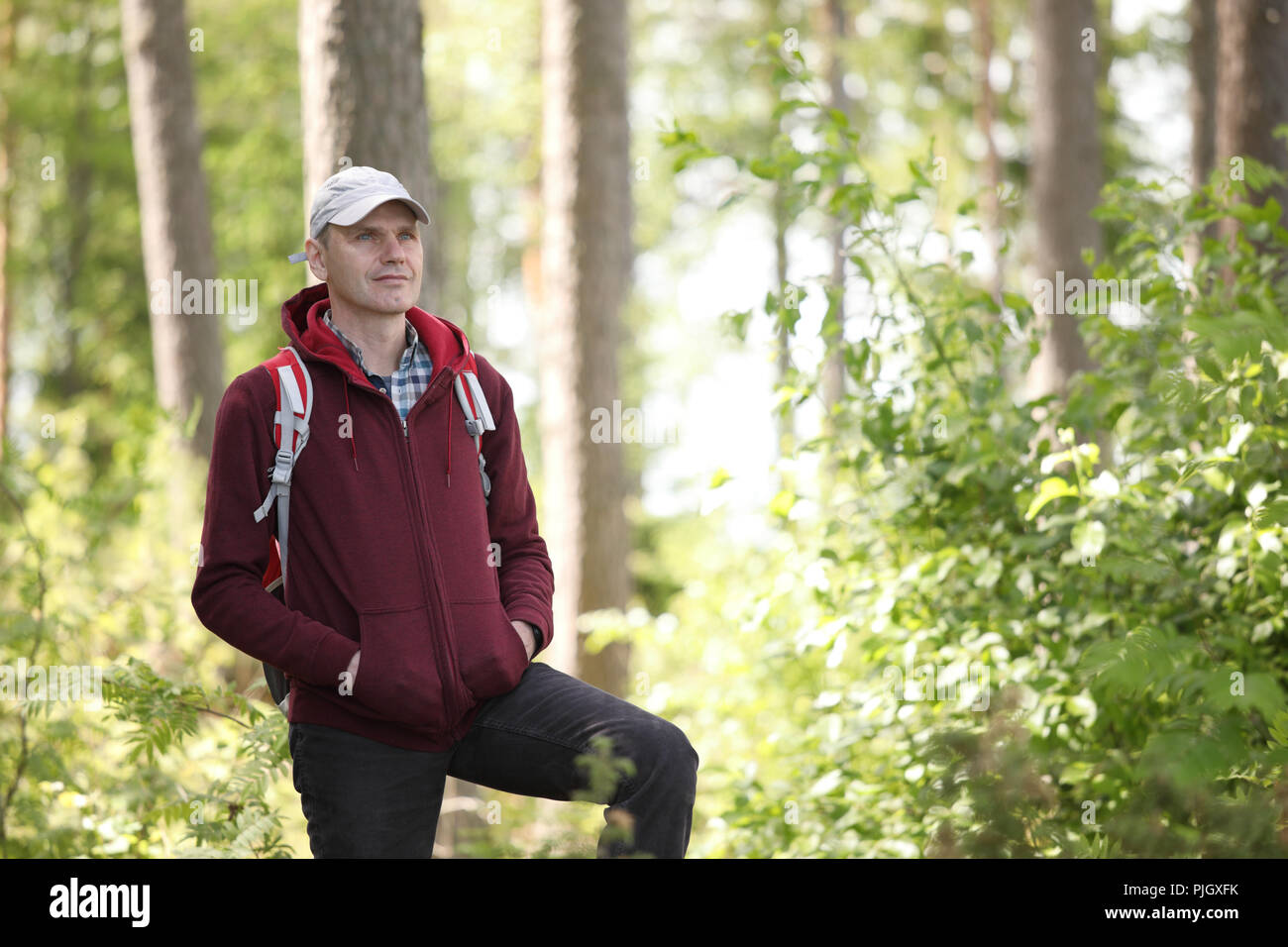 Tourist mit Rucksack auf einen Fußweg im Wald Stockfoto