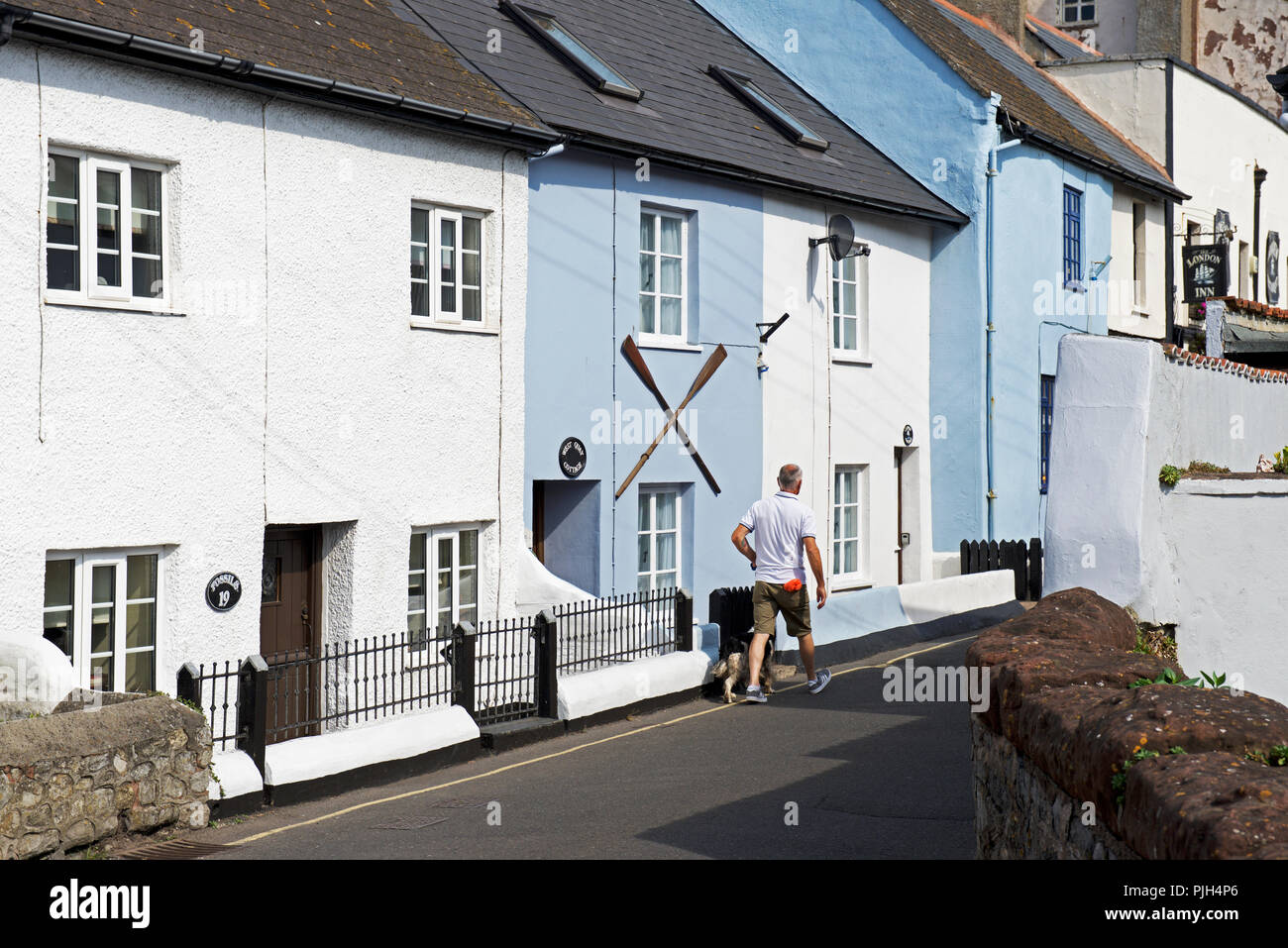 Mann, Hund, Watchet, Somerset, England Großbritannien Stockfoto