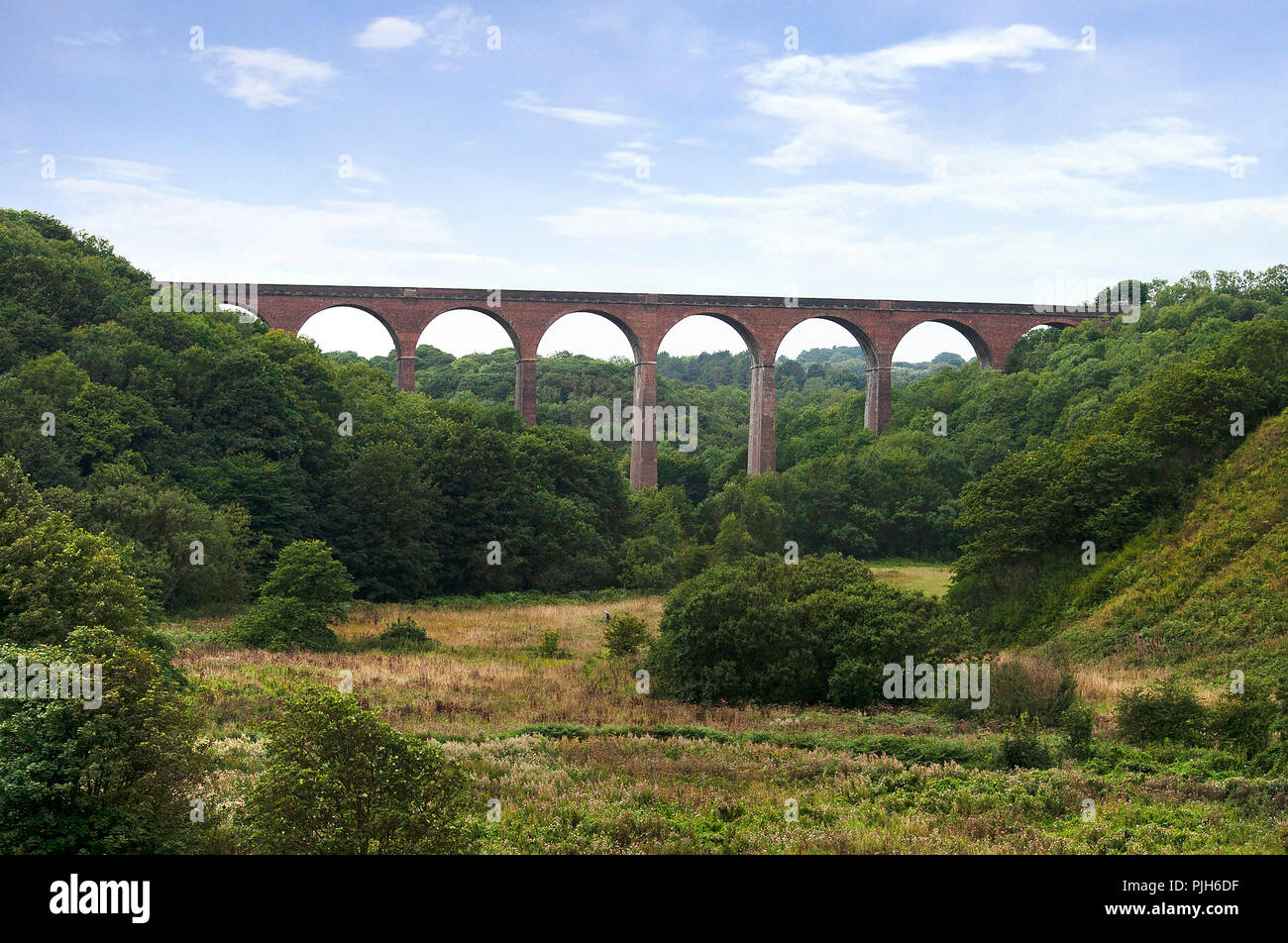 Schloss Eden Viadukt, Durham Heritage Coast, County Durham, UK Stockfoto