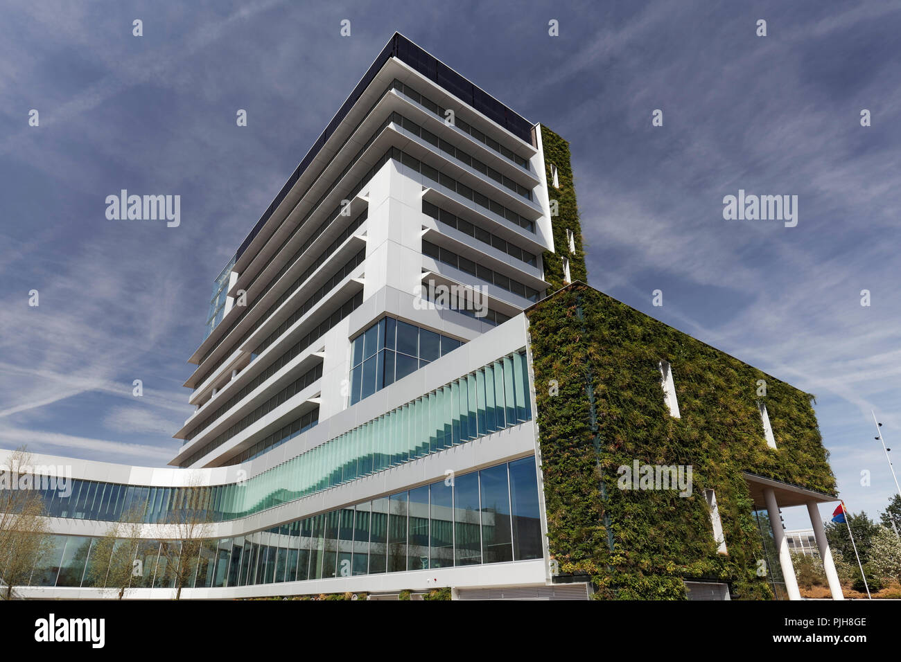 Öffentliche Gebäude mit gepflanzt, Fassade, ökologisches Bauen, Neues Rathaus, Venlo, Limburg, Niederlande Stockfoto