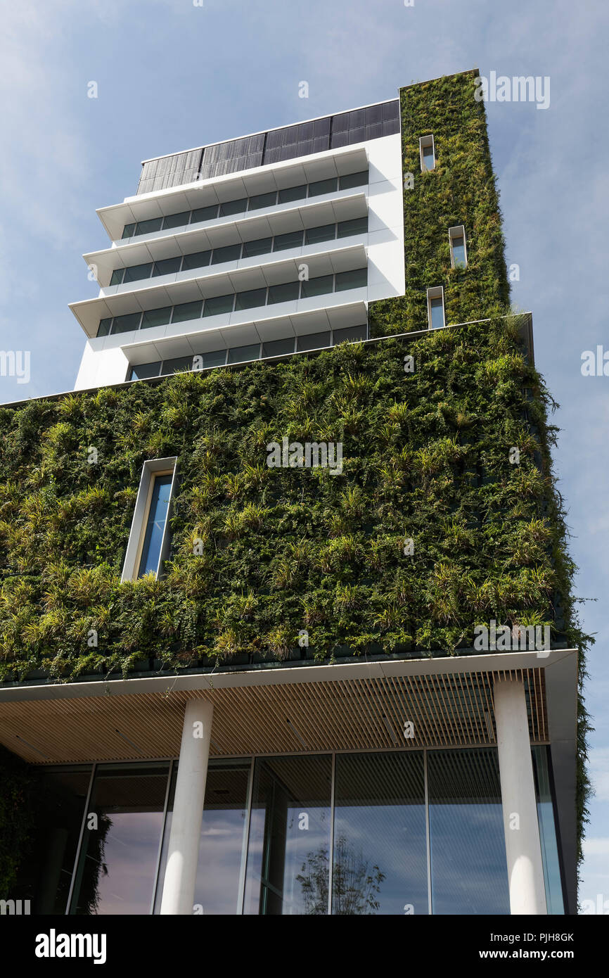 Öffentliche Gebäude mit gepflanzt, Fassade, ökologisches Bauen, Neues Rathaus, Venlo, Limburg, Niederlande Stockfoto