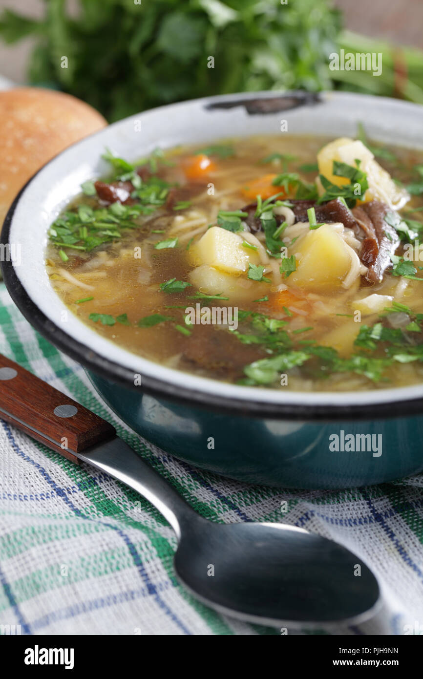 Pilz Suppe mit Gemüse und Teigwaren Stockfoto