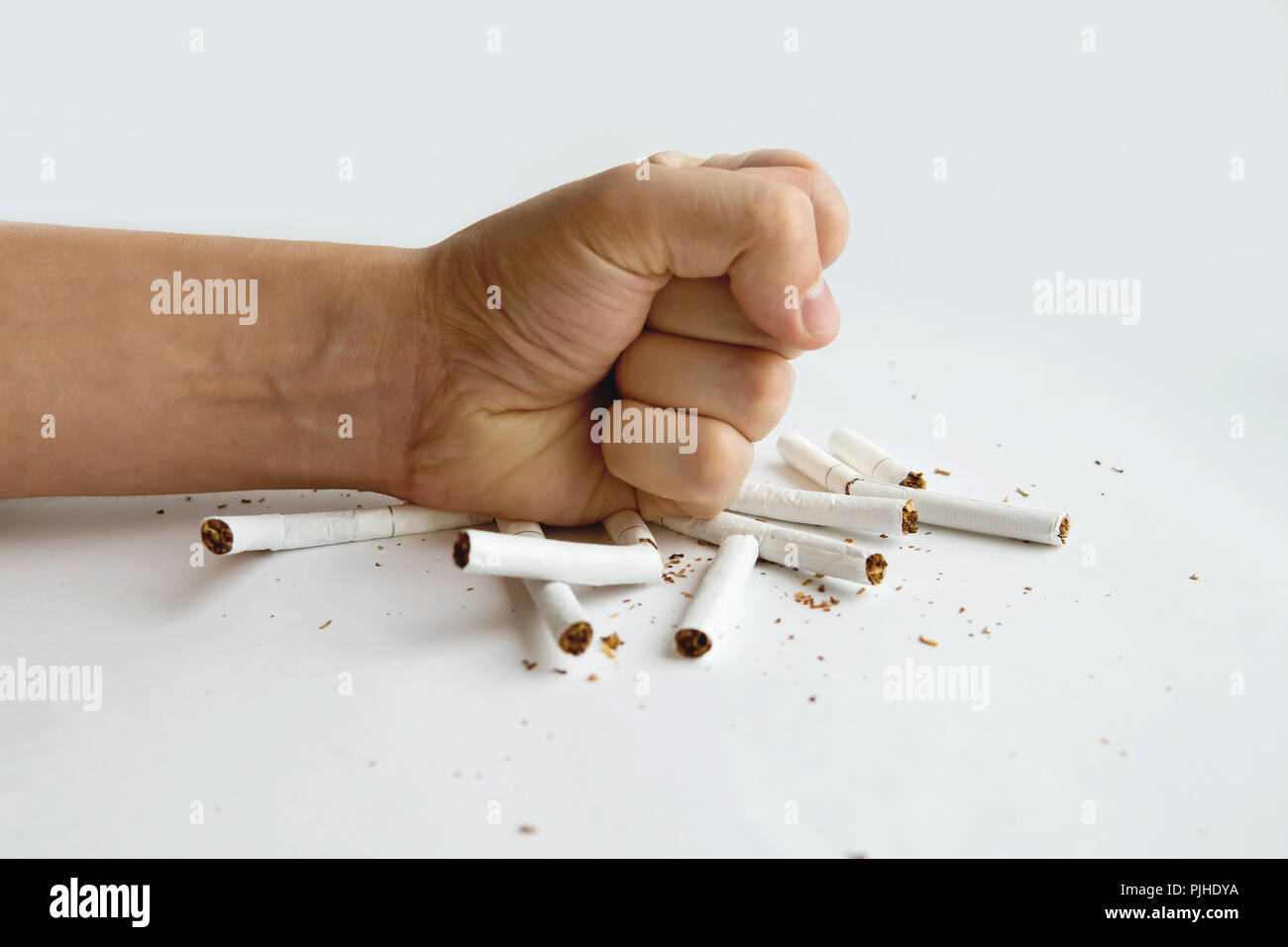 Faust, Brechen, Zigarette Rauchen aufhören Konzept auf weißem Hintergrund. Eine Faust zerschlägt die Zigarette. Stockfoto