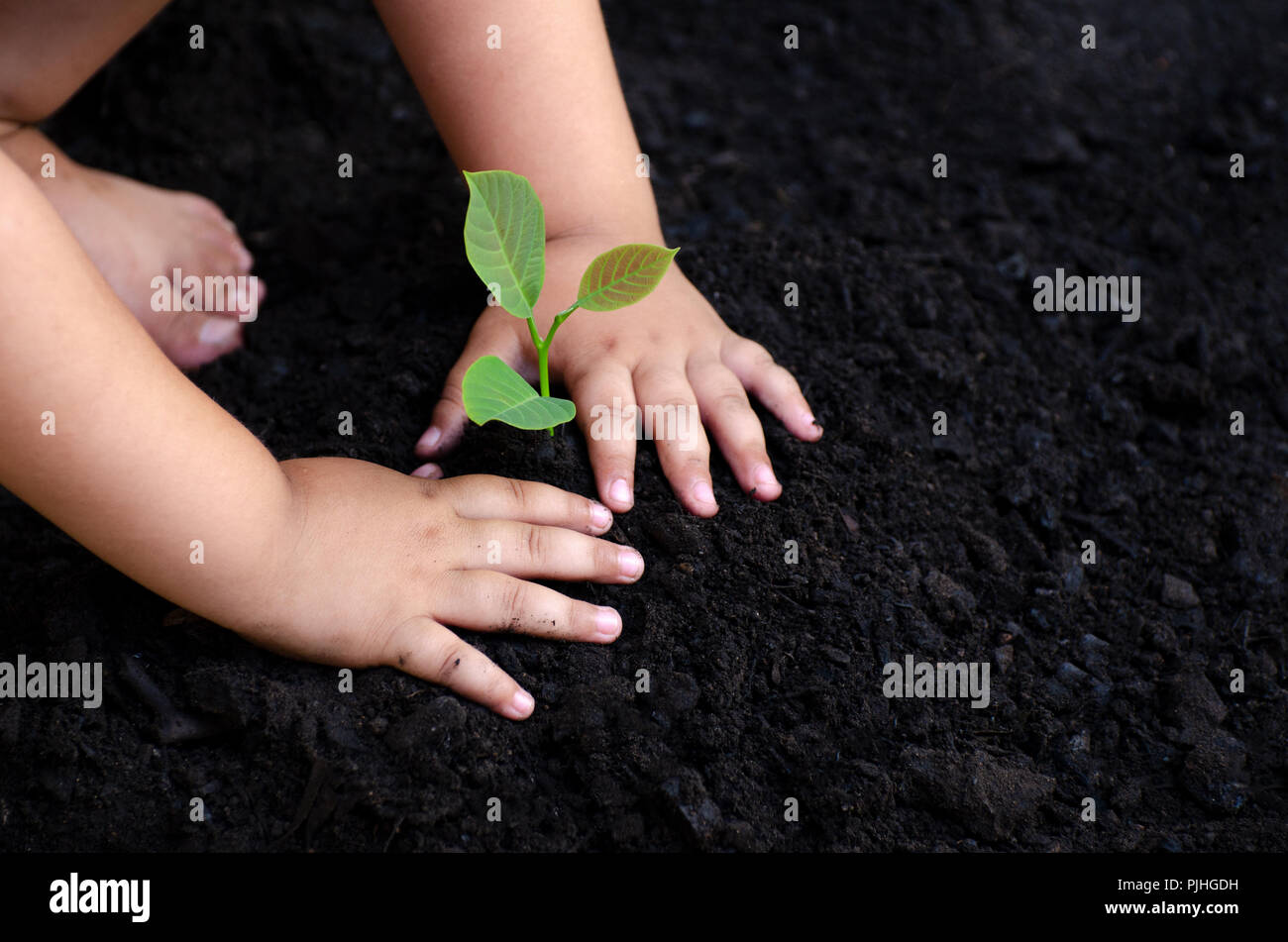 Baum sapling Baby Hand auf den dunklen Boden, das Konzept implantiert, das Bewusstsein der Kinder in die Umwelt. Stockfoto