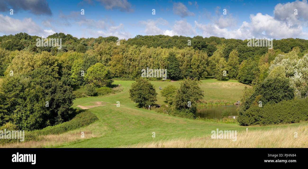Hohe Woods Country Park, Colchester, Essex. Stockfoto