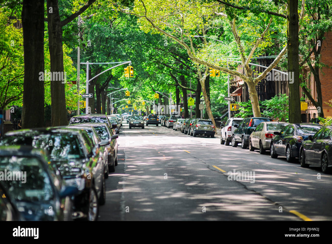 Einer ruhigen, grünen Straße in Park Slope, Brooklyn. Stockfoto