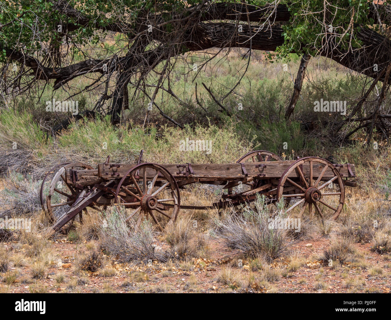 Alte Wagen in der Nähe der Fremont River, Fruita, Capitol Reef National Park, Utah. Stockfoto