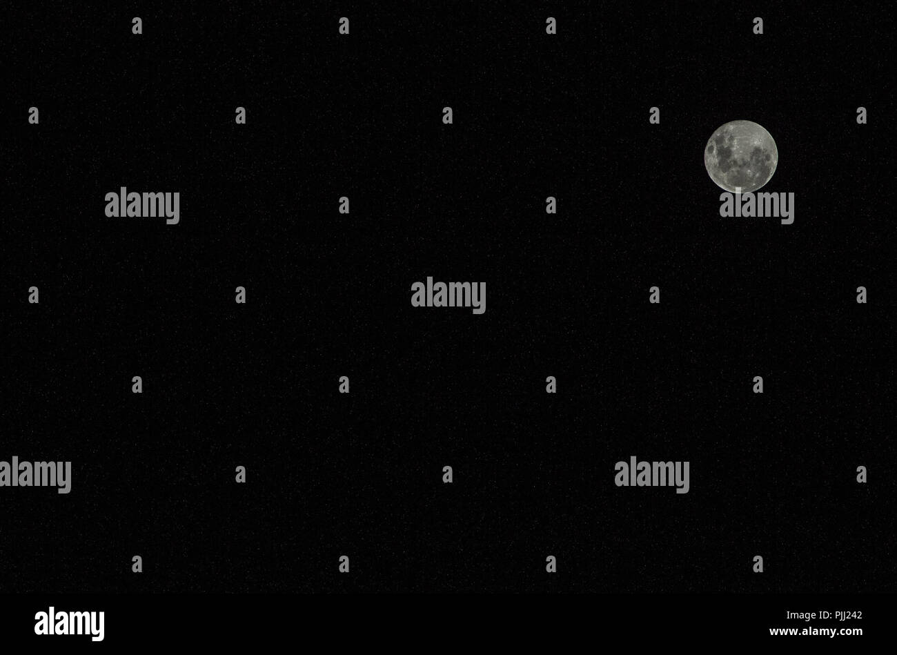 Himmel voller Song Stockfoto