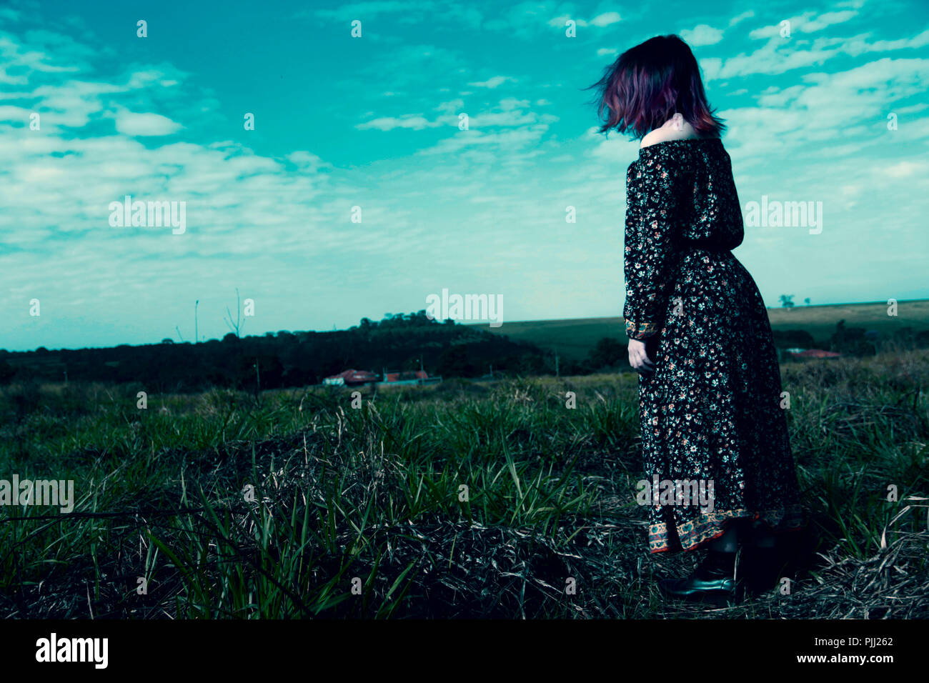 Himmel voller Song Stockfoto