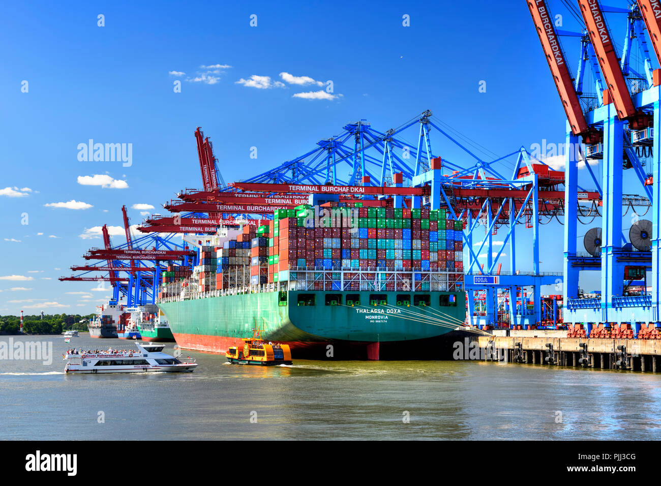 Container Umschlag im Waltershofer Hafen in Hamburg, Deutschland, Europa, Containerumschlag im Waltershofer Hafen in Hamburg, Deutschland, Europa Stockfoto